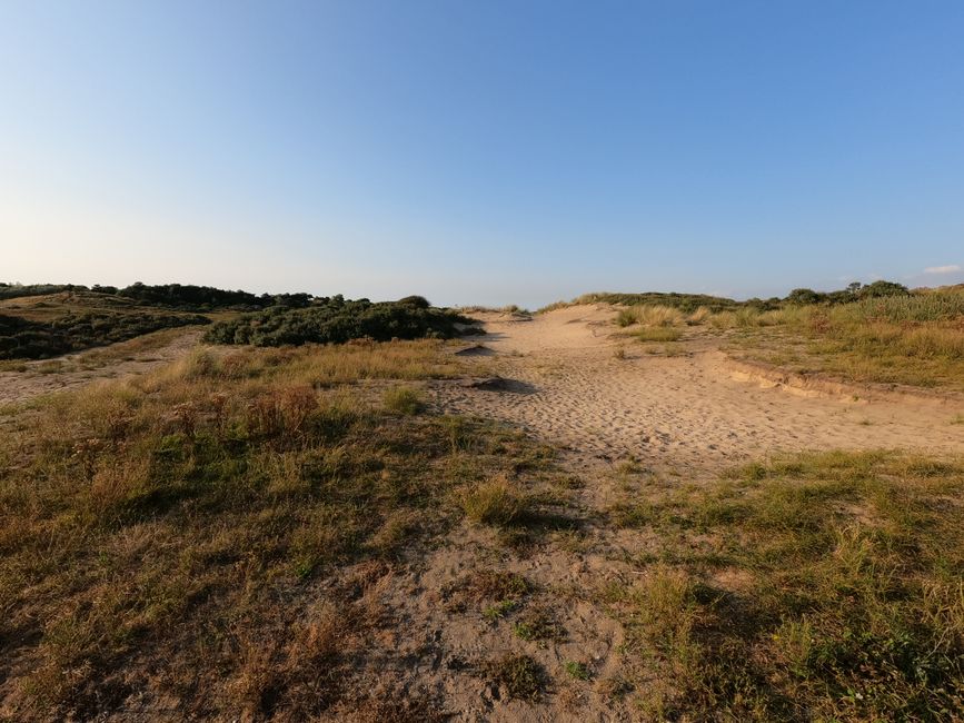 Explore the serene sand dunes in Zuid-Holland under a clear blue sky.