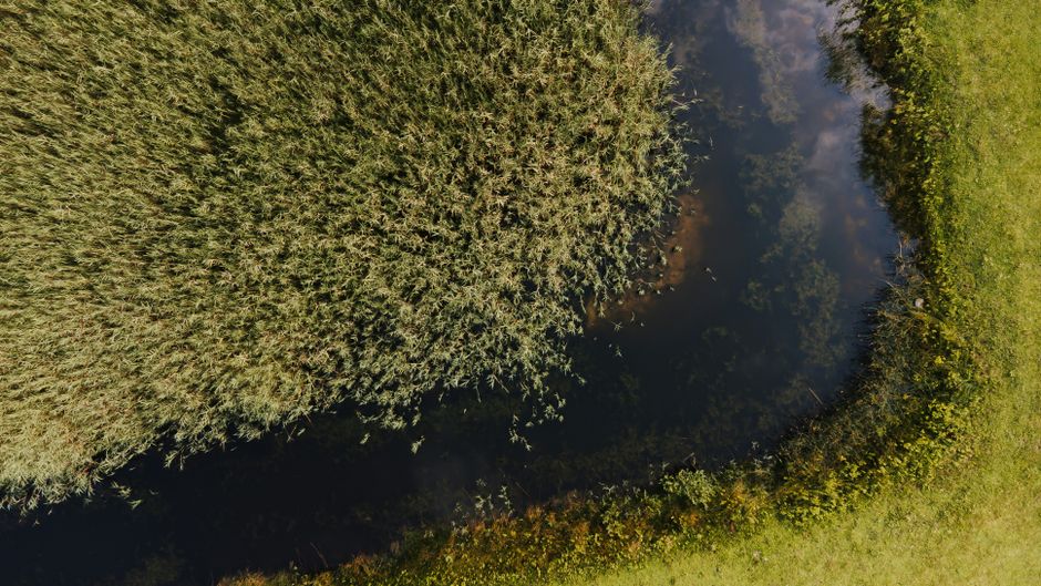 Stunning aerial view of lush marshland and reflective water, highlighting natural beauty and serenity.